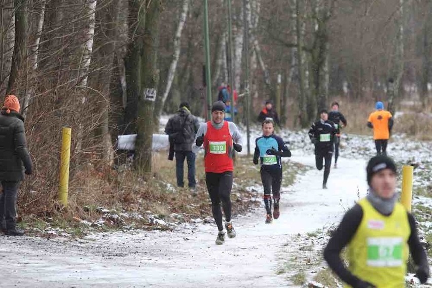 City Trail Katowice Giszowiec 4.1.2015