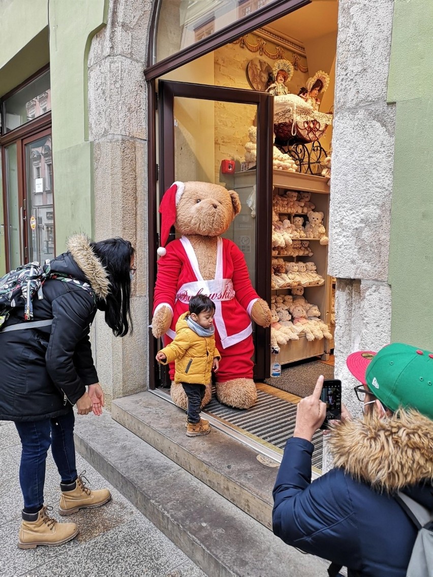 Świąteczne dekoracje zagościły w krakowskich witrynach...