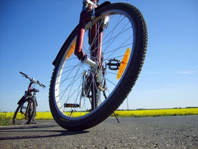 Bydgoska sieć wypożyczalni rowerów ma powstać wiosną przyszłego roku.