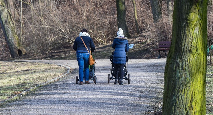 22.02.2015 bydgoszcz myslecinek spacer pogoda wypoczynek...