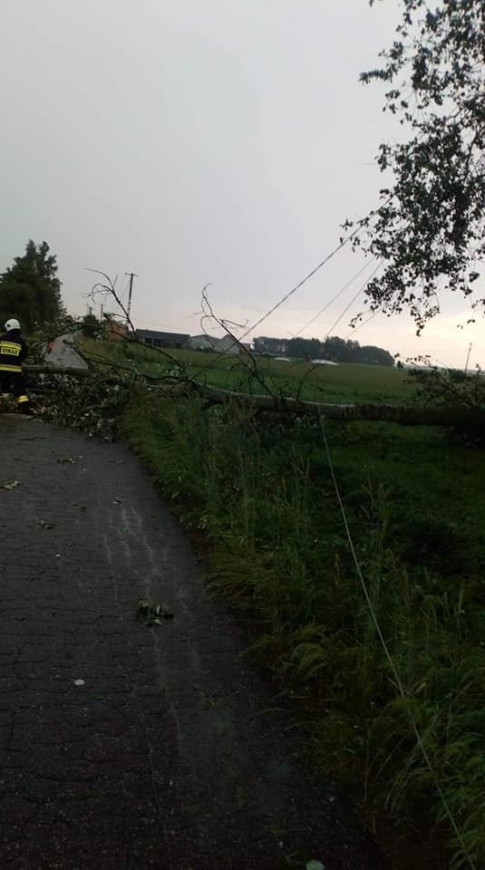 Burza w powiecie ostrowskim, 17.06.2020. Strażacy usuwali drzewa powalone na drogi. Zdjęcia