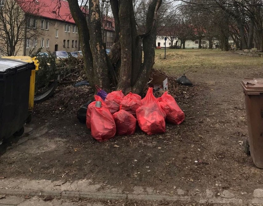 Łódzki "spacer z workiem" okazał się być wielkim sukcesem!...