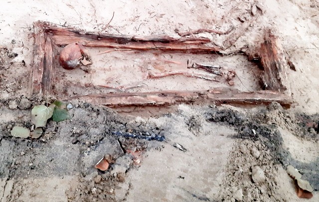 W zielonogórskim parku Tysiąclecia odkryto grobowce. To szkielety, fragmenty trumien, biżuterii. W tym miejscu dawniej był cmentarz. ZOBACZ WIĘCEJ ZDJĘĆ >>>