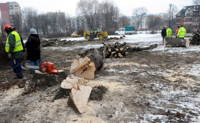 Wycinkę drzew przeprowadzono w lutym 2012 r.