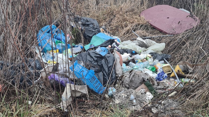 Na nielegalnym wysypisku śmieci w Kokotowie znaleziono...