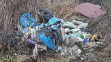 Materiały z danymi osobowymi na dzikim wysypisku śmieci w Kokotowie. Policja prowadzi śledztwo 