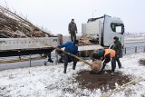 Czy można sadzić drzewa w grudniu, gdy pada śnieg? W Łodzi w wielu miejscach nadal sadzone są duże drzewa