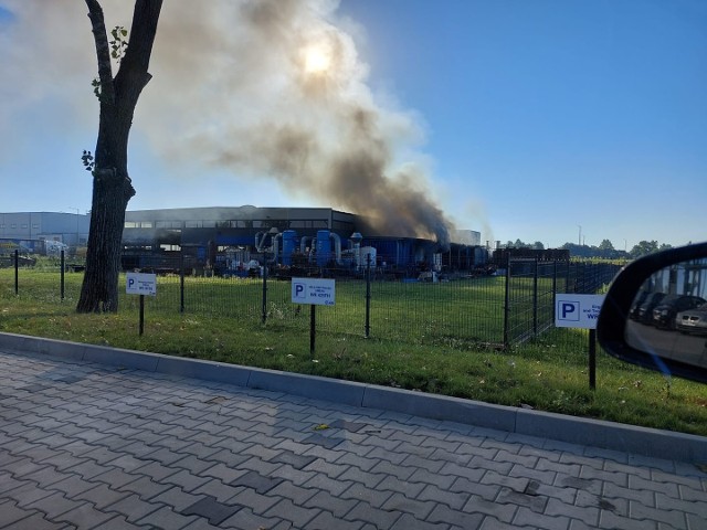 Pożar hali wybuchł w piątkowy poranek.