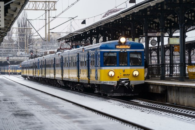 W pociągach POLREGIO i PKP SKM w województwie pomorskim psy będą jeździły za darmo.