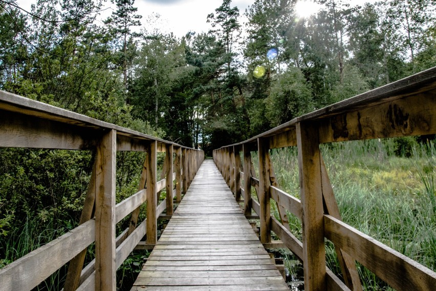 Poleski Park Narodowy...