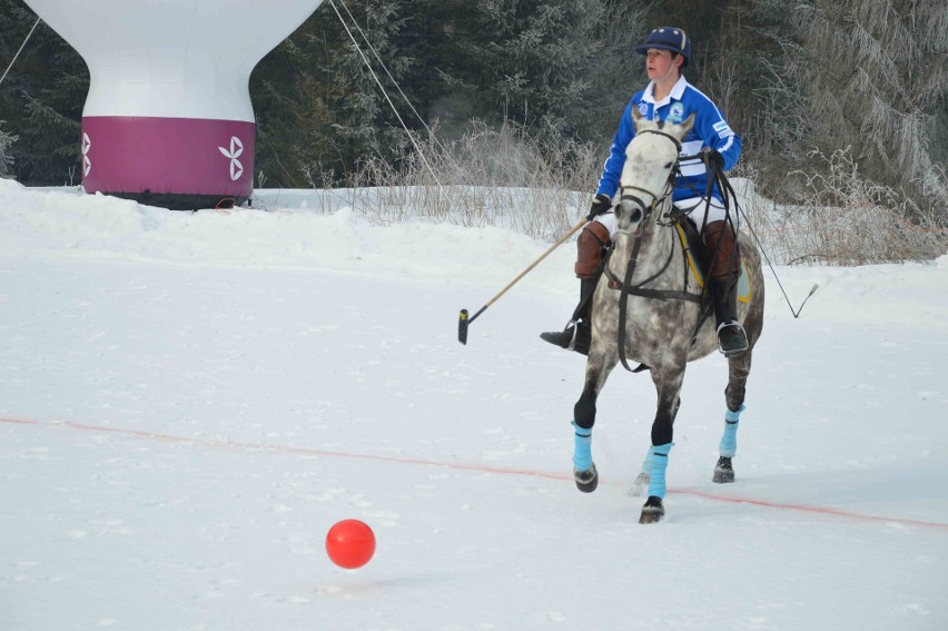 Bukowina Tatrzańska. Grali z polo na śniegu [ZDJĘCIA]