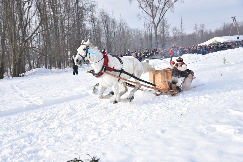 Parada Gazdowska 2019 - Biały Dunajec