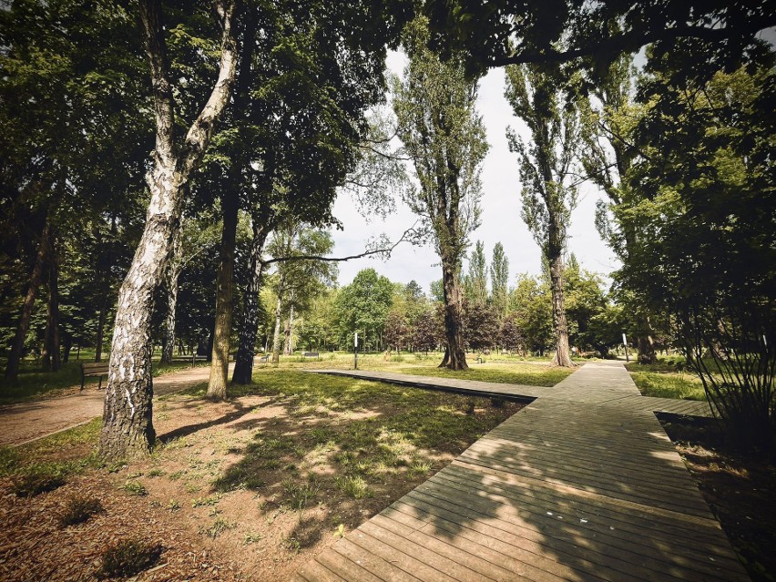 W Sosnowcu park bioróżnorodności zamienił się w ogród...
