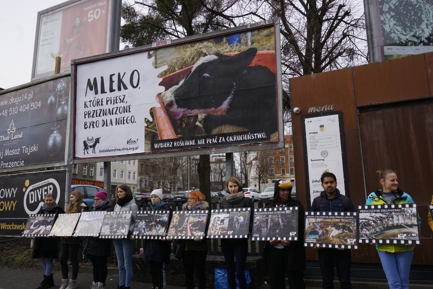 Poznań: Apelują, aby nie pić krowiego mleka i wręczali ulotki z informacjami o tym, jak wygląda jego produkcja [ZDJĘCIA]