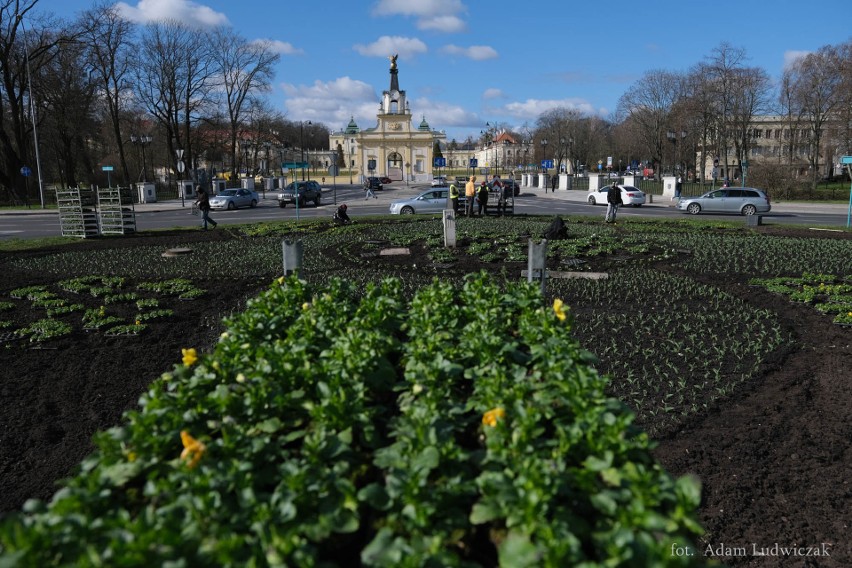 Rozpoczęły się wiosenne nasadzenia w Białymstoku. W mieście pojawi się mnóstwo kwiatów