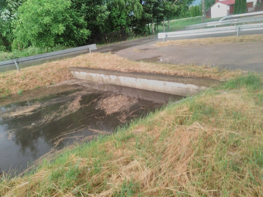 Kraków. Zbyt wąski przepust pod małym mostkiem może być przyczyną tragedii. Urzędnicy odpowiadają zaniepokojonemu mieszkańcowi