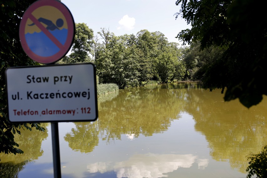 Pojawiły się obawy, że ktoś chce zasiedzieć działkę przy...