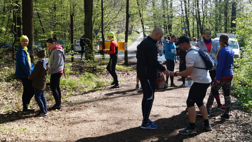 Tłumy biegaczy w lesie Kyndra w Jastrzębiu