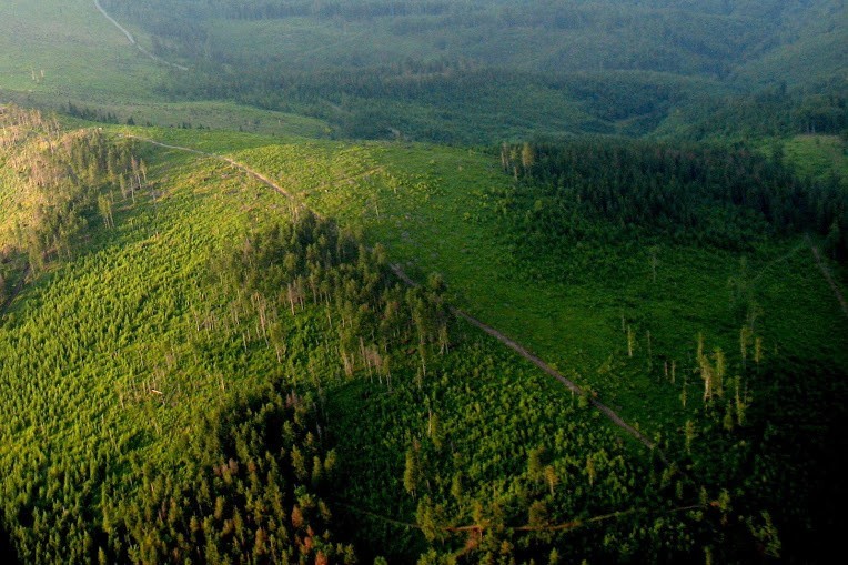 Beskid Śląski z lotu ptaka. Zobacz zdjęcia bielskiego...