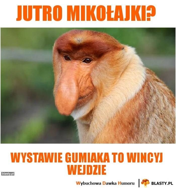 Mikołajki 2018: Życzenia, wierszyki sms Mikołajkowe...