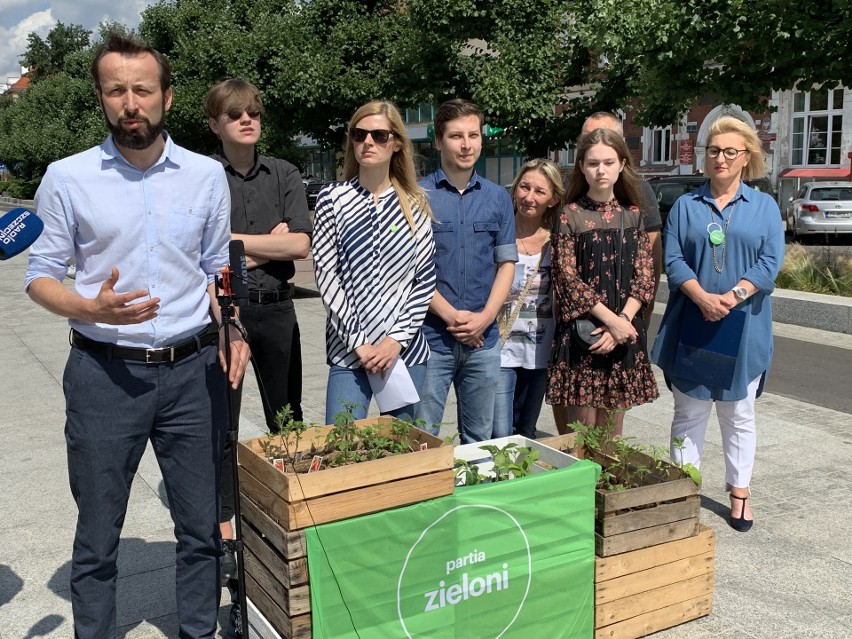 Szczecin. Zieloni wychodzą w miasto i prezentują swój program