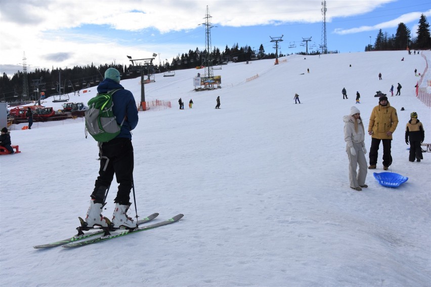 Nowy sport w górach? Połącznie narciarstwa i psich zaprzęgów [ZDJĘCIA]