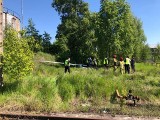 Awaryjne lądowanie szybowca w Białymstoku. Pilot trafił do szpitala. Stowarzyszenie Port Lotniczy Białystok komentuje