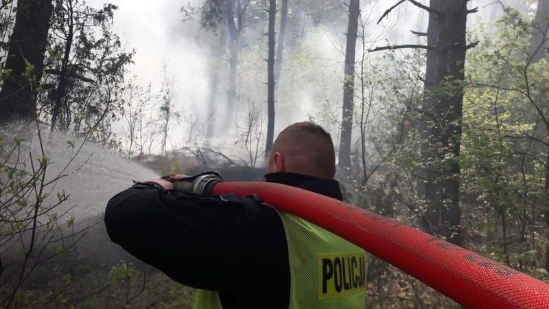 Istok. Policjanci z hajnowskiej „drogówki” jako pierwsi dotarli na miejsce pożaru lasu. 