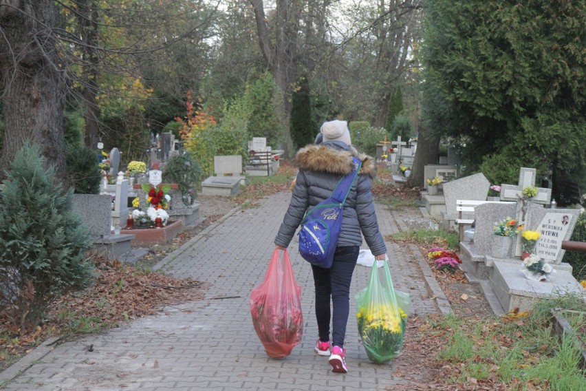 Korki przy wrocławskich cmentarzach. Lepiej jechać MPK