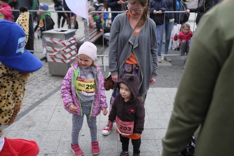 Główne dystanse "Run Toruń 2019 - Zwiedzaj ze zdrowiem!" są...