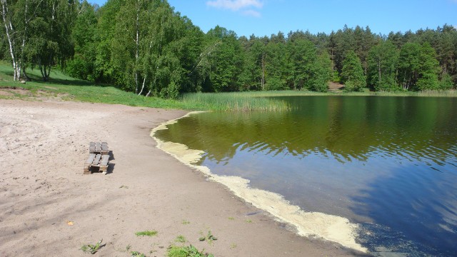 Jezioro w Józefowie jest niewielkie, ale bardzo malownicze