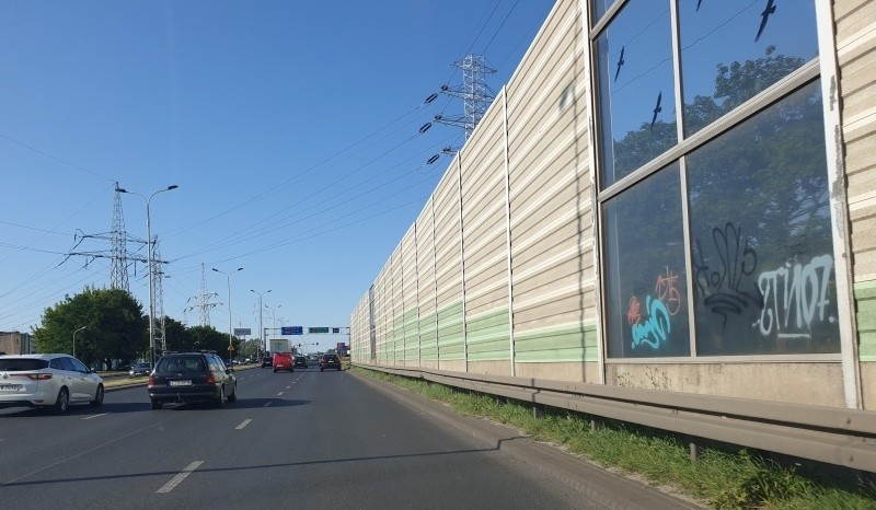 Bluszcz pokryje ekrany akustyczne w Łodzi aby walczyć ze smogiem