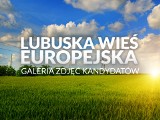 LUBUSKA WIEŚ EUROPEJSKA | Poznaj kandydatów [GALERIA]