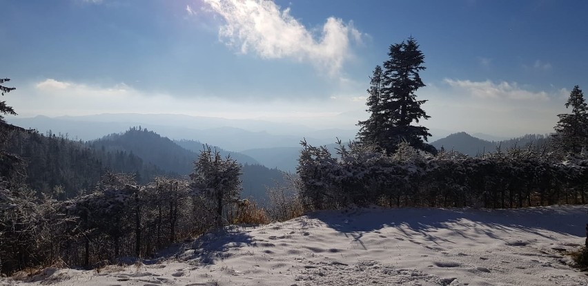 Beskid Sądecki. Górskie szlaki już przyprószone śniegiem. Ostatni dzień, by wesprzeć zbiórkę na zimowy sprzęt GOPR [ZDJĘCIA]