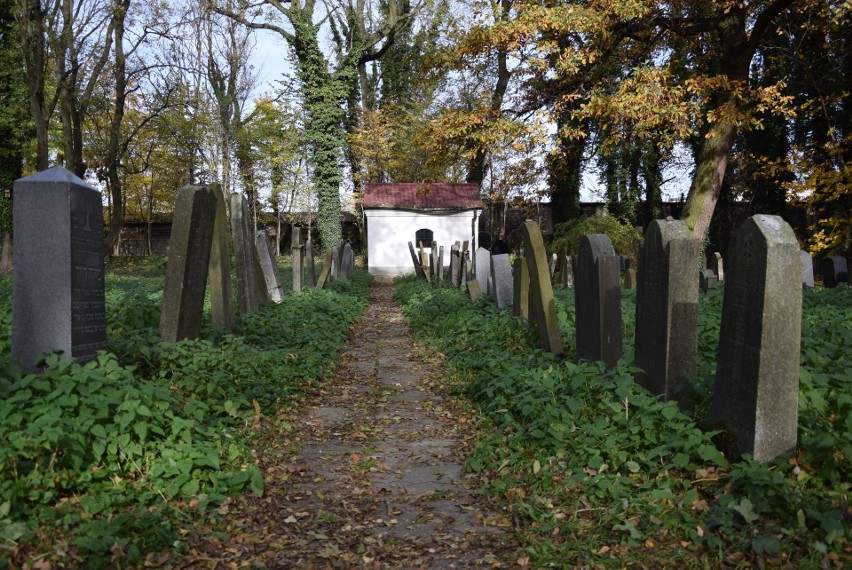 Niezwykła lekcja historii 1 listopada z dr Jackiem Proszykiem na zabytkowym cmentarzu żydowskim w Oświęcimiu [ZDJĘCIA]