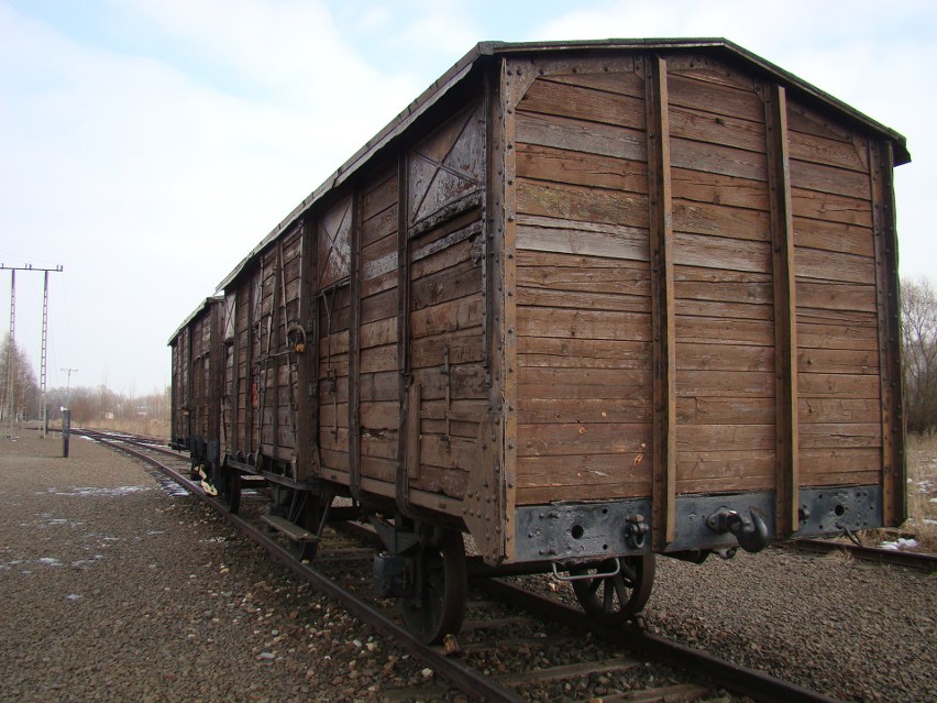 Budują drogę do Judenrampe i ziemniaczarek w Brzezince. To historyczne obiekty po byłym niemieckim obozie Auschwitz-Birkenau [ZDJĘCIA]