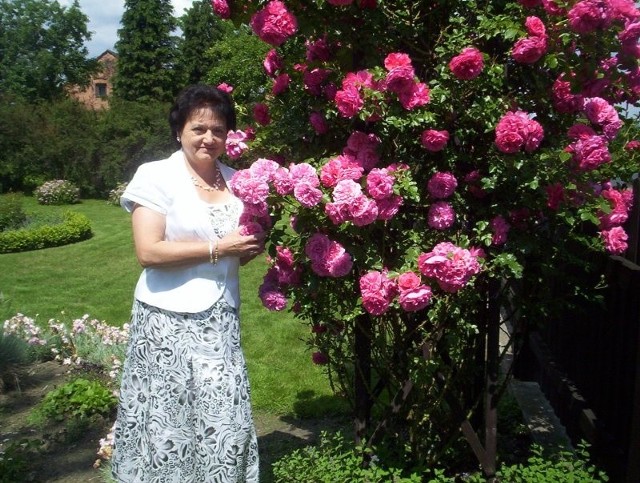 Nagrodzony ogród Anny Dziopy najpiękniej wygląda latem, kiedy kwitną wszystkie kwiaty i krzewy.