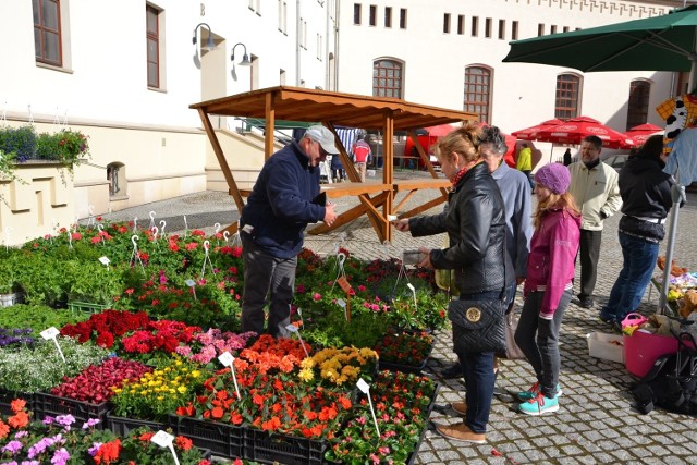 Racibórz: Zamkowy Jarmark Kwiatów u Piastów