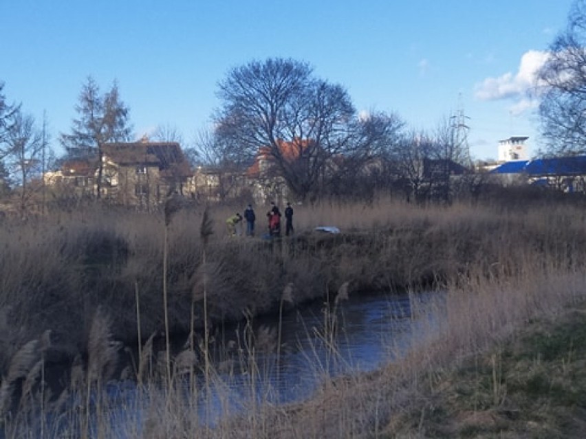 Z rzeki Łeba w Lęborku wyłowiono zwłoki mężczyzny. Prokurator i policja prowadzą czynności