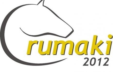 Rumaki Regionu 2012 - logo konkursu