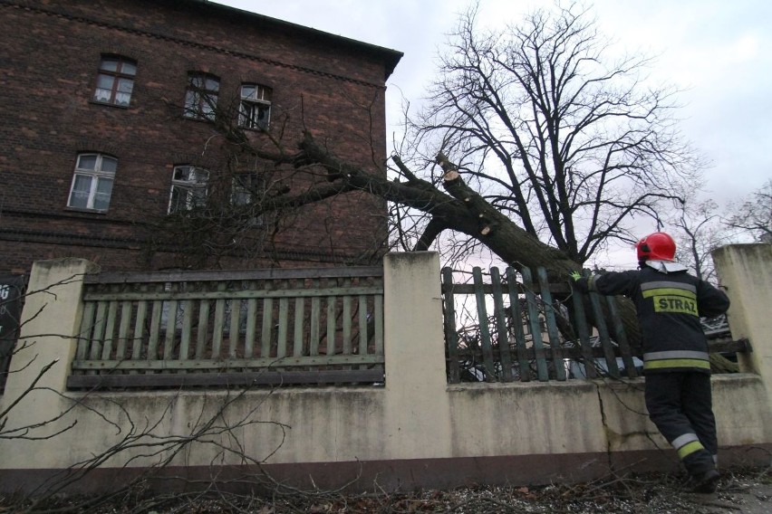 Drzewo runęło na dwa samochody i budynek przy ul....