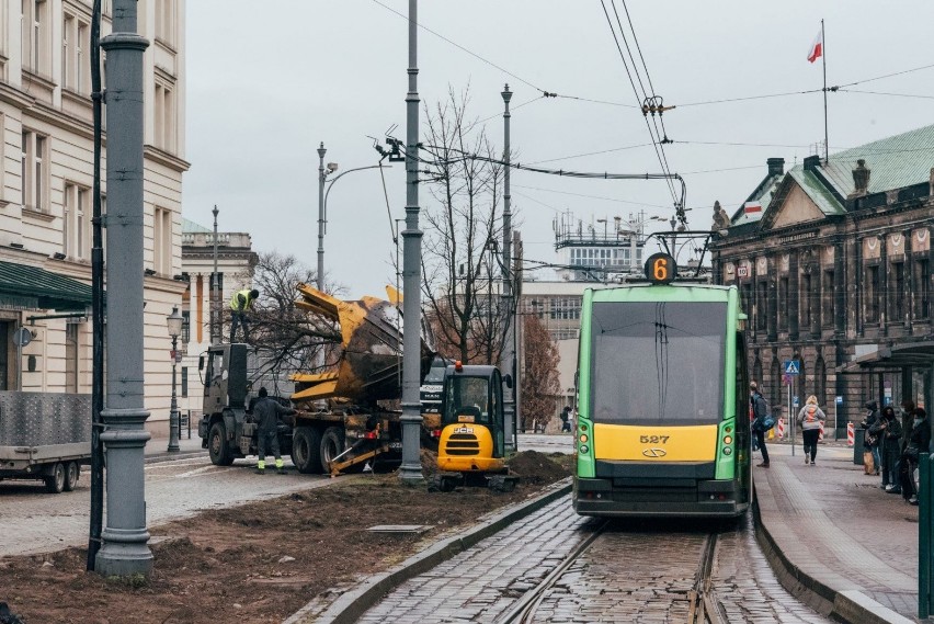 - Pod kontrolą inspektora nadzoru terenów zieleni do Parku...