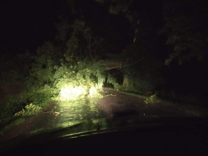 Nocna nawałnica w Rypinie i powiecie. Wiatr łamał drzewa i zrywał dachy