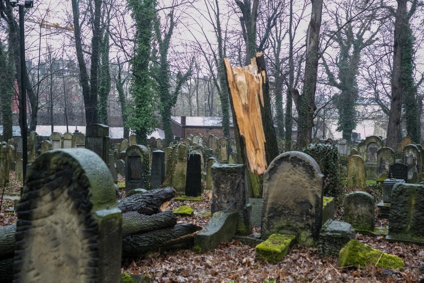 Usuwane z cmentarza drzewa zaniepokoiły okolicznych...