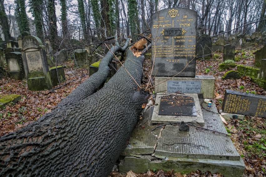 Usuwane z cmentarza drzewa zaniepokoiły okolicznych...