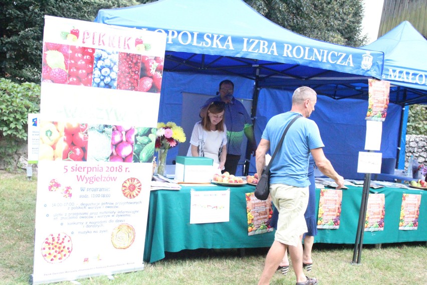 Święto miodu w Wygiełzowie. Pszczelarze pochwalili się swoimi pasiekami. Wybrano najpiękniejsze [ZDJĘCIA]