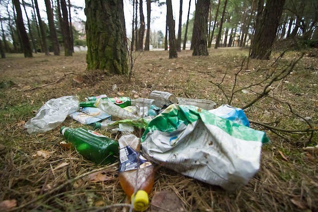 Wczoraj na taki widok W lasku między ulicami Wiśniową a Wierzbową na Miedzyniu natknął się nasz fotoreporter.