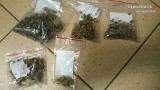 27-latek z Jastrzębia złapany z marihuaną i halucynogennymi grzybkami [ZDJĘCIA]