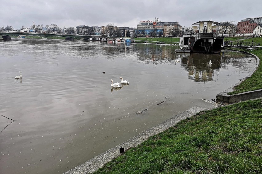 Kraków. Od wielu dni pada deszcz. Podniósł się poziom wody w rzekach [ZDJĘCIA]