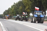 Rolnicy z powiatu wąbrzeskiego strajkują nie tylko w Lipnicy, pojechali także do Warszawy
